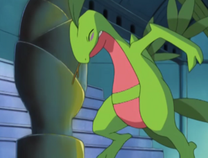 Sceptile afectado por confusión.