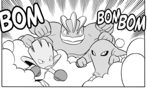Imagen de Machamp