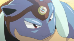 Blastoisita en la frente del Blastoise de Narciso.