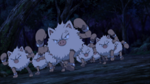 Imagen de Primeape