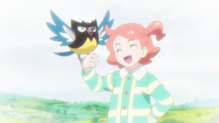 Rookidee