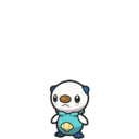 Icono de Oshawott en Pokémon Escarlata y Púrpura