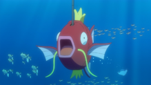 Remoraid