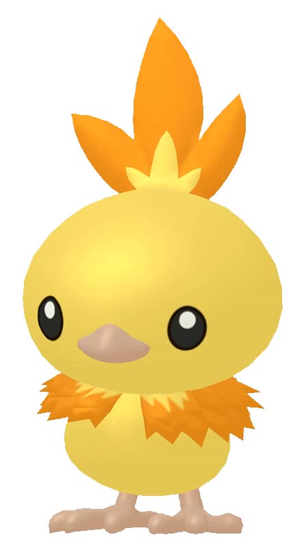 Archivo:Torchic HOME variocolor.webm - WikiDex, la enciclopedia Pokémon