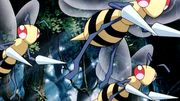 P05 Beedrill.png