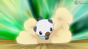 Oshawott usando Tacleada/Placaje.