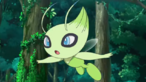 Celebi