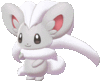 Imagen de Cinccino en Pokémon Espada y Pokémon Escudo