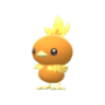 Torchic