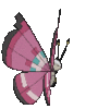 Imagen posterior de Vivillon variocolor en Pokémon X, Pokémon Y, Pokémon Rubí Omega, Pokémon Zafiro Alfa, Pokémon Sol, Pokémon Luna, Pokémon Ultrasol y Pokémon Ultraluna