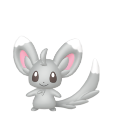 Minccino macho