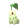 Chikorita