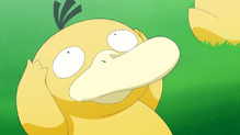 Psyduck