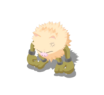 Pisotones variocolor