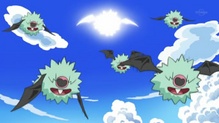 Woobat
