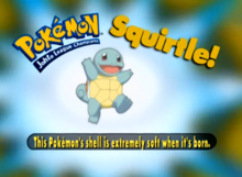 Squirtle