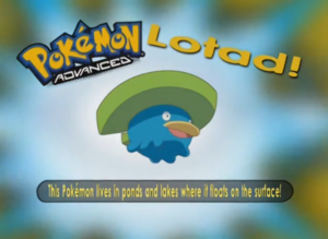Lotad
