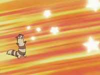 Furret usando rapidez.