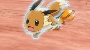 Eevee de Ilima/Liam usando Ataque Rápido.
