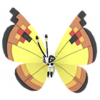 Vivillon continental