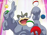Machamp