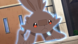 Scorbunny salvaje usando ataque rápido.
