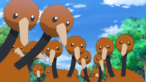Doduo
