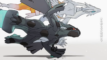 Zekrom