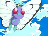 Butterfree