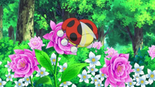 Ledyba