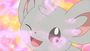 Minccino usando atracción.