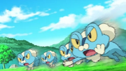 EP821 Froakie usando doble equipo.png