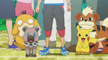 Psyduck