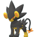 Imagen de Luxray variocolor macho en Pokémon Diamante Brillante y Pokémon Perla Reluciente