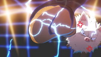 Primeape del chico usando Puño Furia en el TOON10.