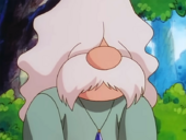 Poké flautista