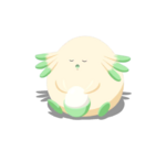 Sentadita variocolor