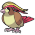 Pidgeot