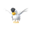 Squawkabilly blanco