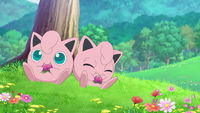 Jigglypuff de la isla.