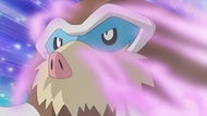 Mamoswine con sello humo en el Concurso Pokémon de Lilypad/Nenúfar.