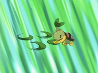 Piplup usando Hojas Navaja/Hoja Afilada.