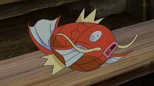 Magikarp