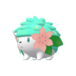 Imagen de Shaymin tierra variocolor en Pokémon Diamante Brillante y Pokémon Perla Reluciente