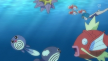 Starmie