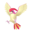 Pidgeotto rosa HOME.png