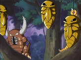 Pinsir