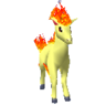 Ponyta