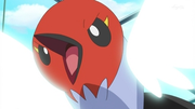 EP809 Fletchling usando viento cortante.png