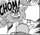 Imagen de Machamp